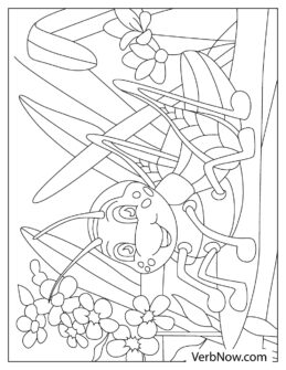 Free GRASSHOPPER Coloring Pages for Download (Printable PDF)