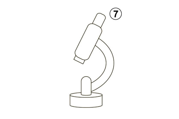 Draw A Rectangle Microscope How to Draw a Microscope in 11 Easy Steps