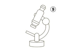 Draw A Rectangle Microscope How to Draw a Microscope in 11 Easy Steps