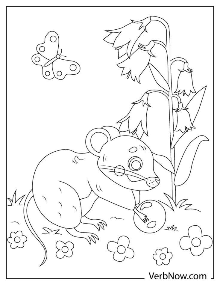 Free MOUSE Coloring Pages &amp; Book for Download (Printable PDF) - VerbNow