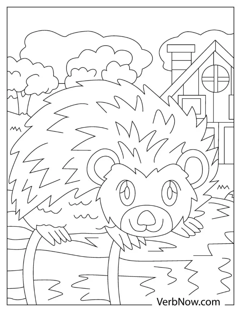 Porcupine Illustrations 22 page 01