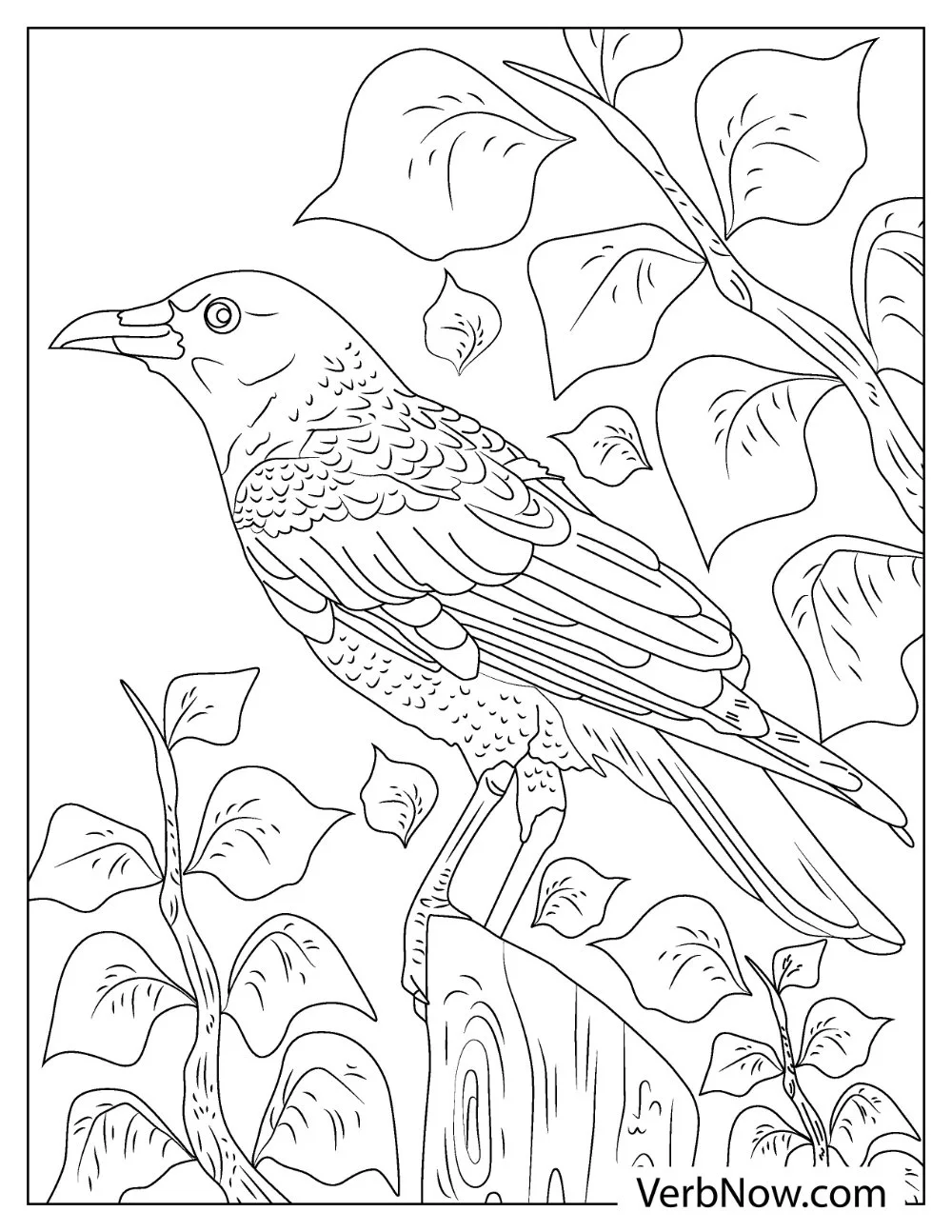 Free RAVEN Coloring Pages for Download (Printable PDF) Artistic raven coloring sheet for adults