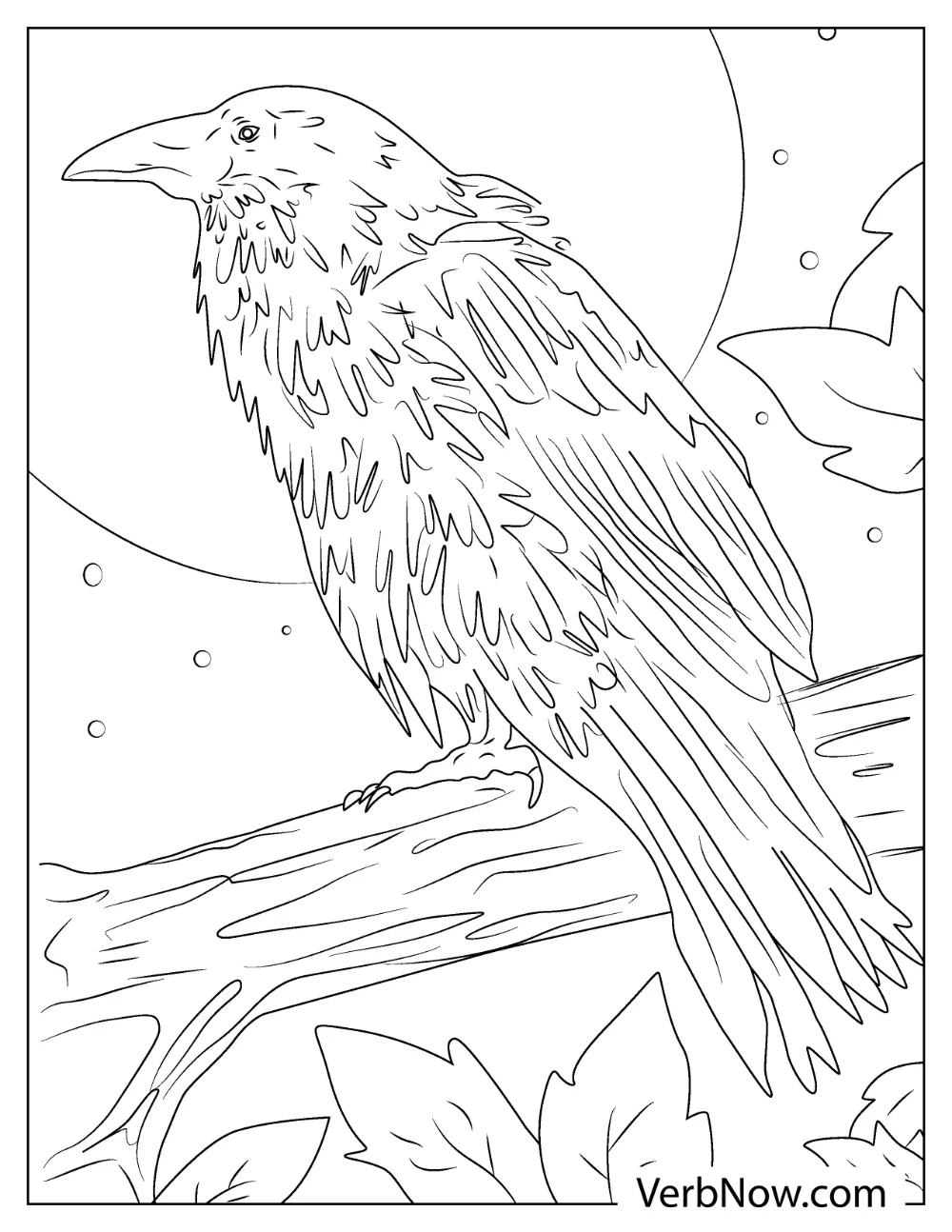 Free RAVEN Coloring Pages for Download (Printable PDF) Raven with moon coloring activity page