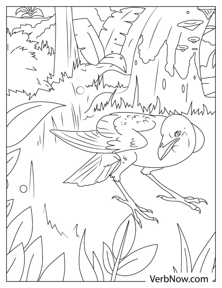 Free RAVEN Coloring Pages for Download (Printable PDF)