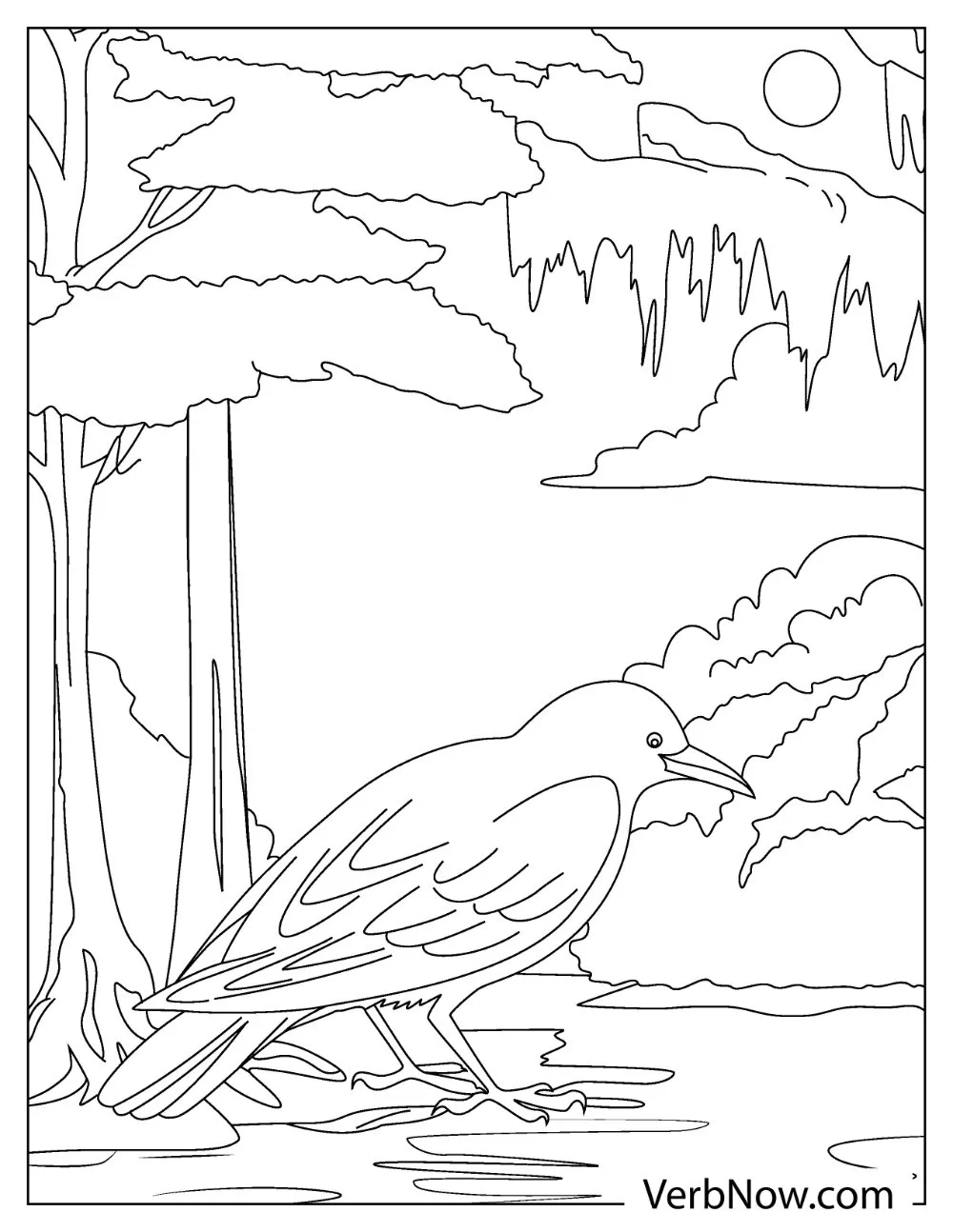 Free RAVEN Coloring Pages for Download (Printable PDF) Black bird raven coloring page