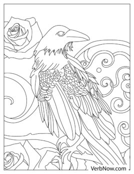 Free RAVEN Coloring Pages for Download (Printable PDF)
