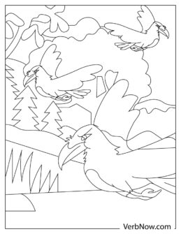 Free RAVEN Coloring Pages for Download (Printable PDF)
