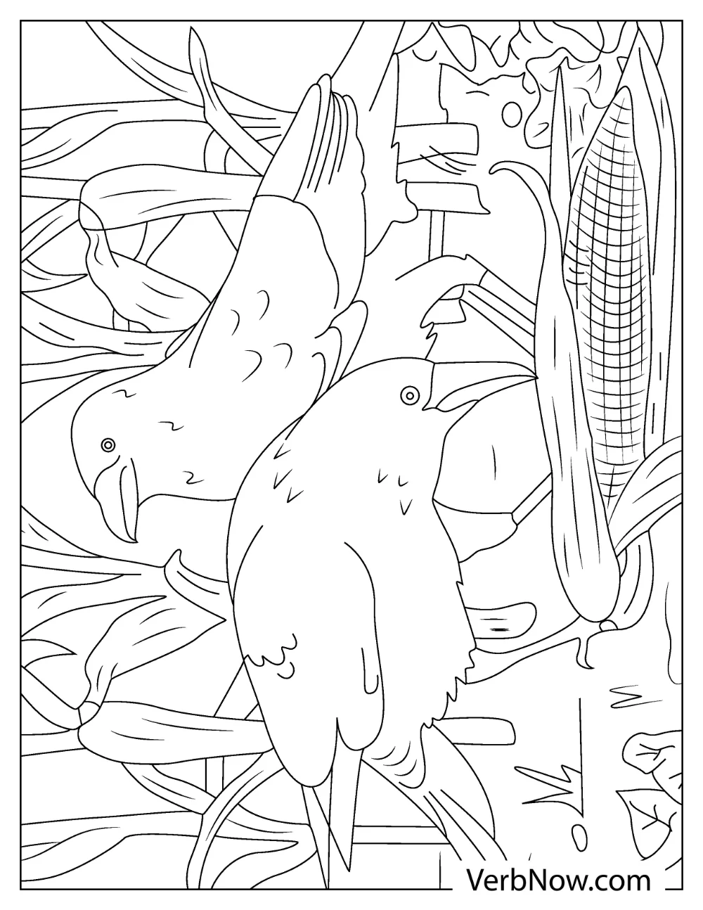 Free RAVEN Coloring Pages for Download (Printable PDF) Bird of mystery raven coloring page