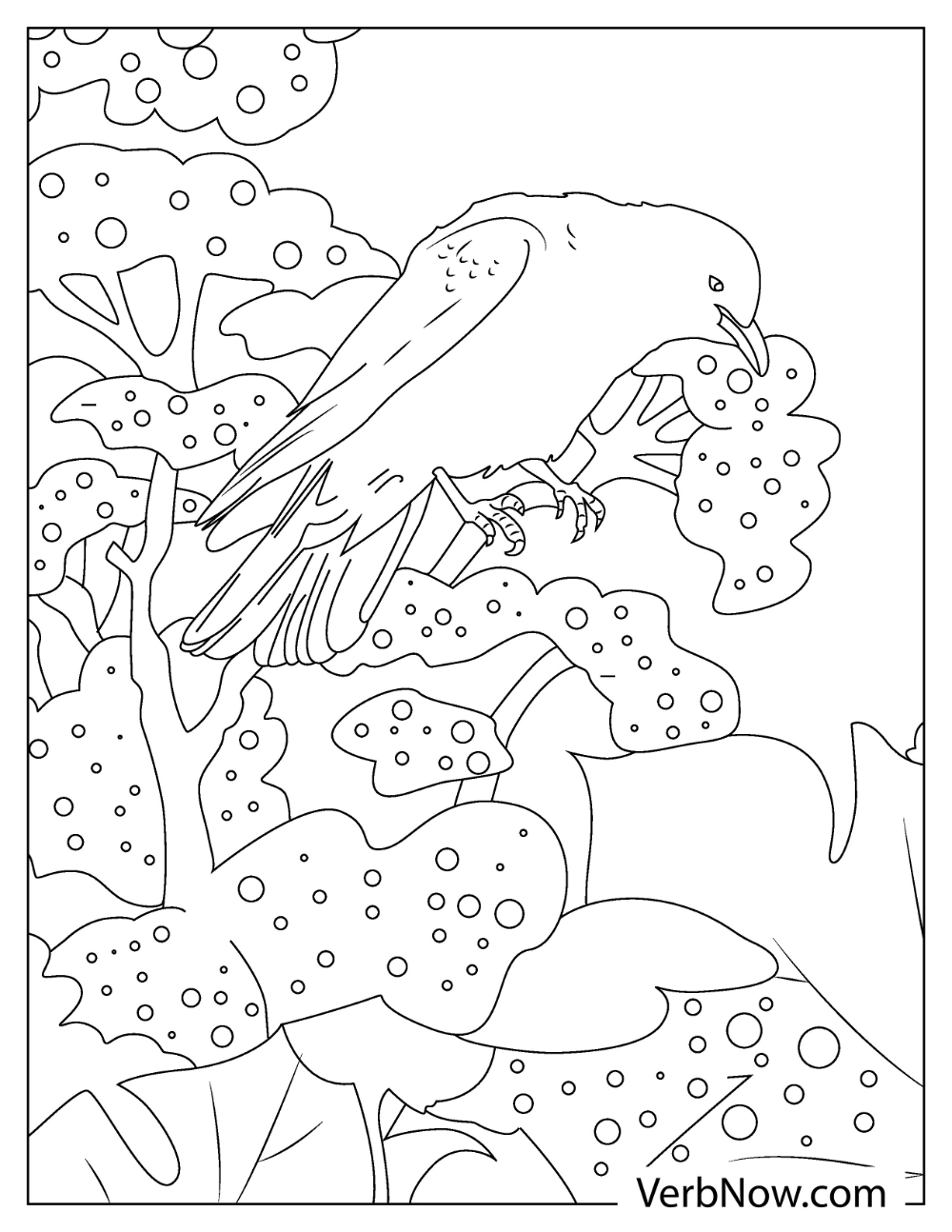 Black feathered raven coloring page