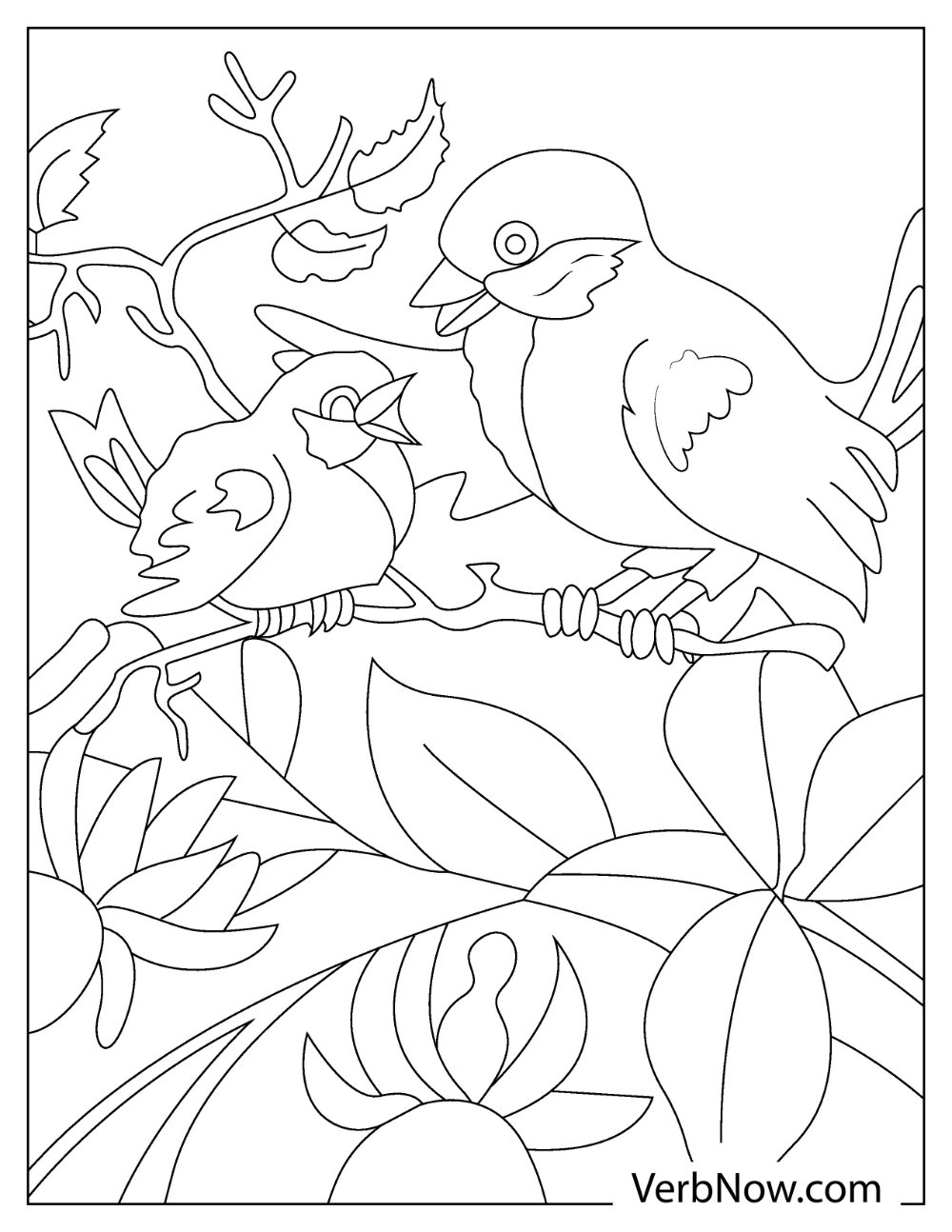 Robin and chick coloring page

