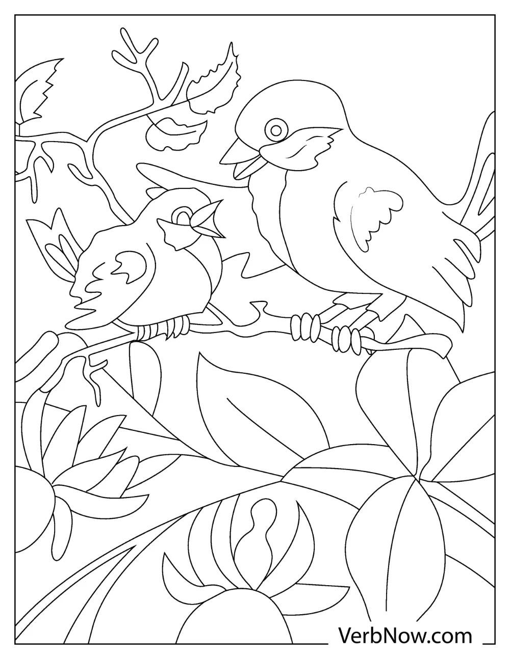 Robin and chick coloring page

