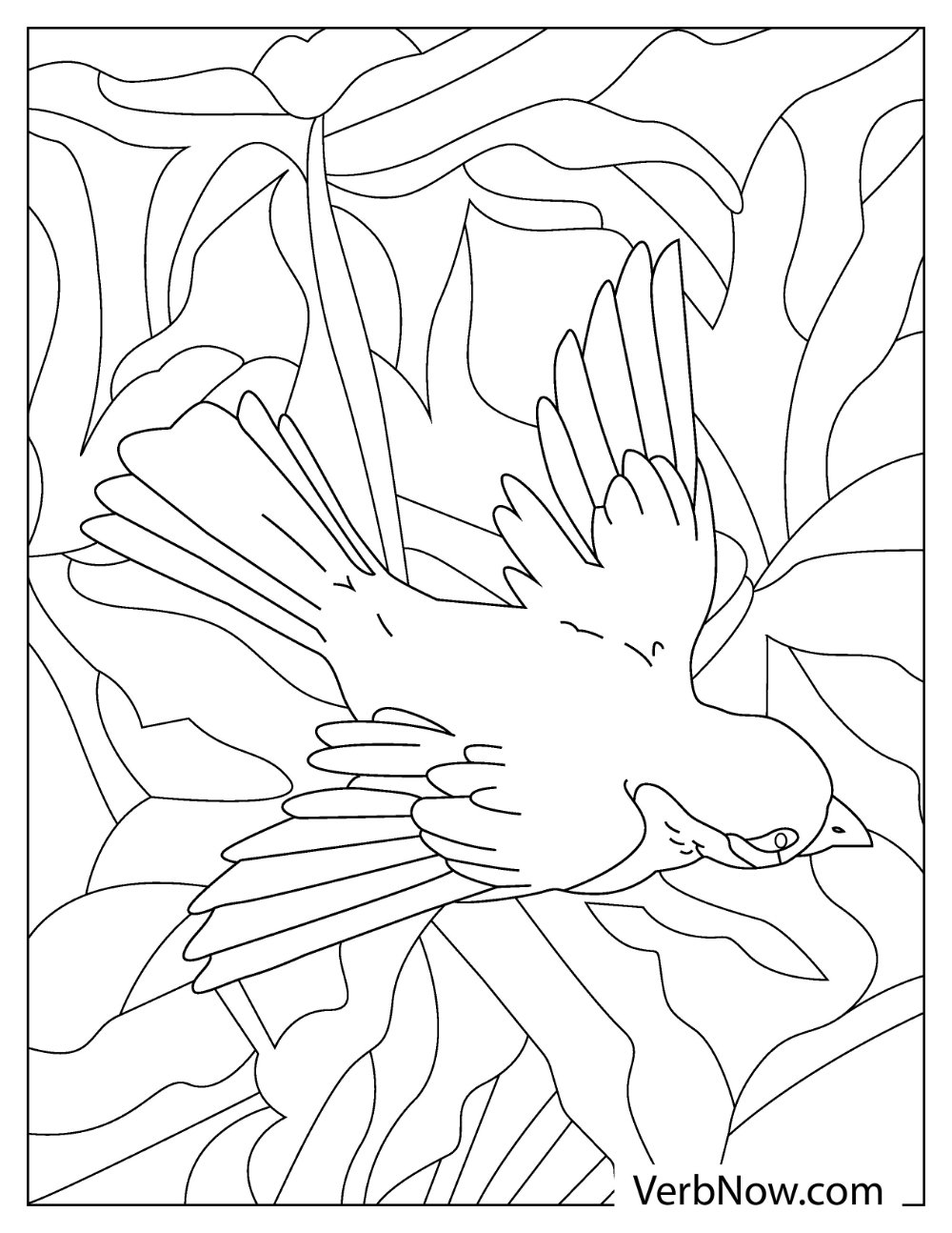 Garden bird robin coloring activity sheet