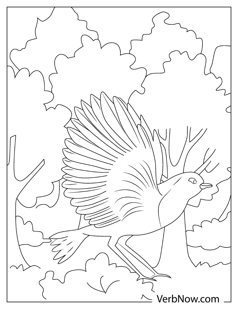 Simple robin coloring page for preschool