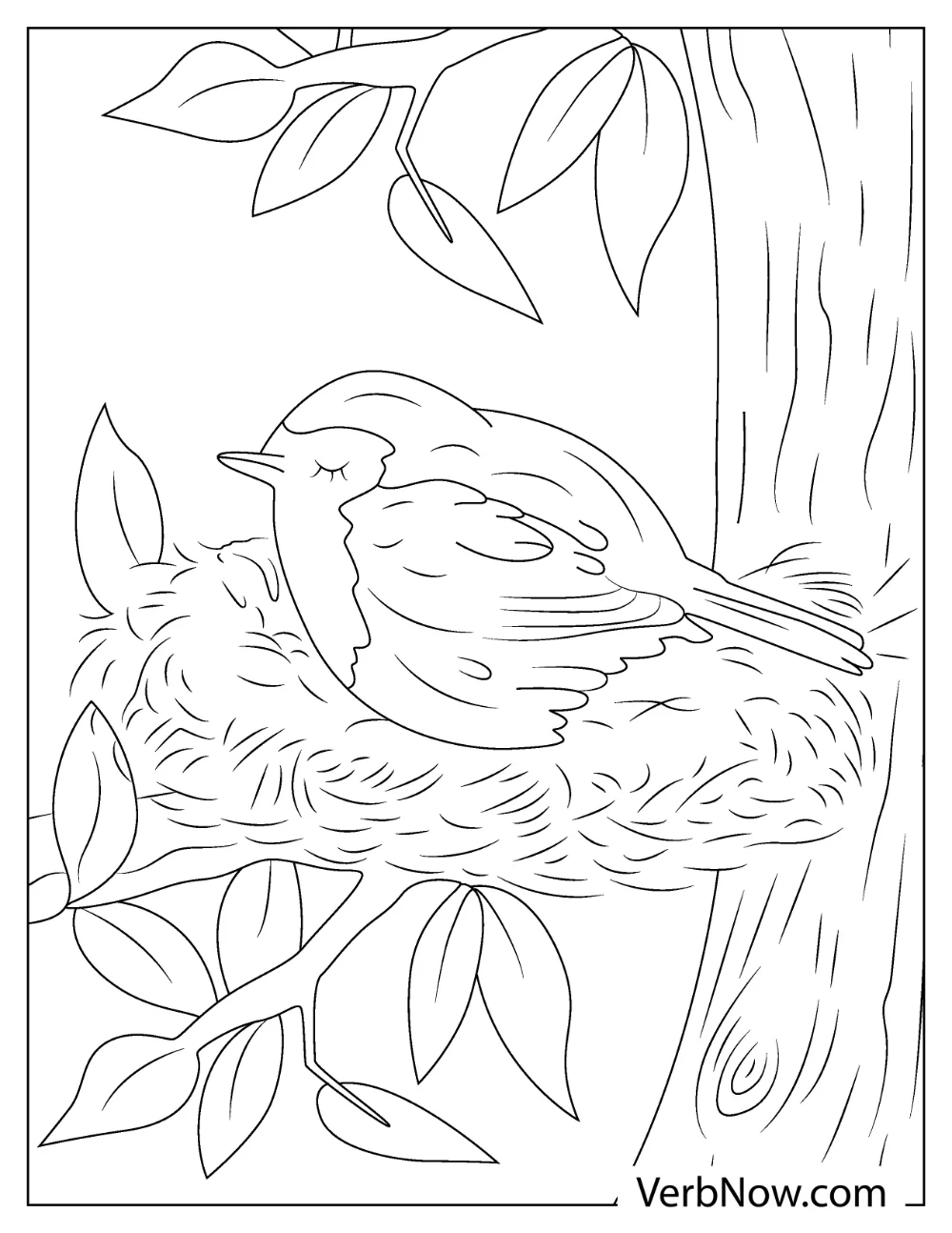 Robin bird and nest coloring page
