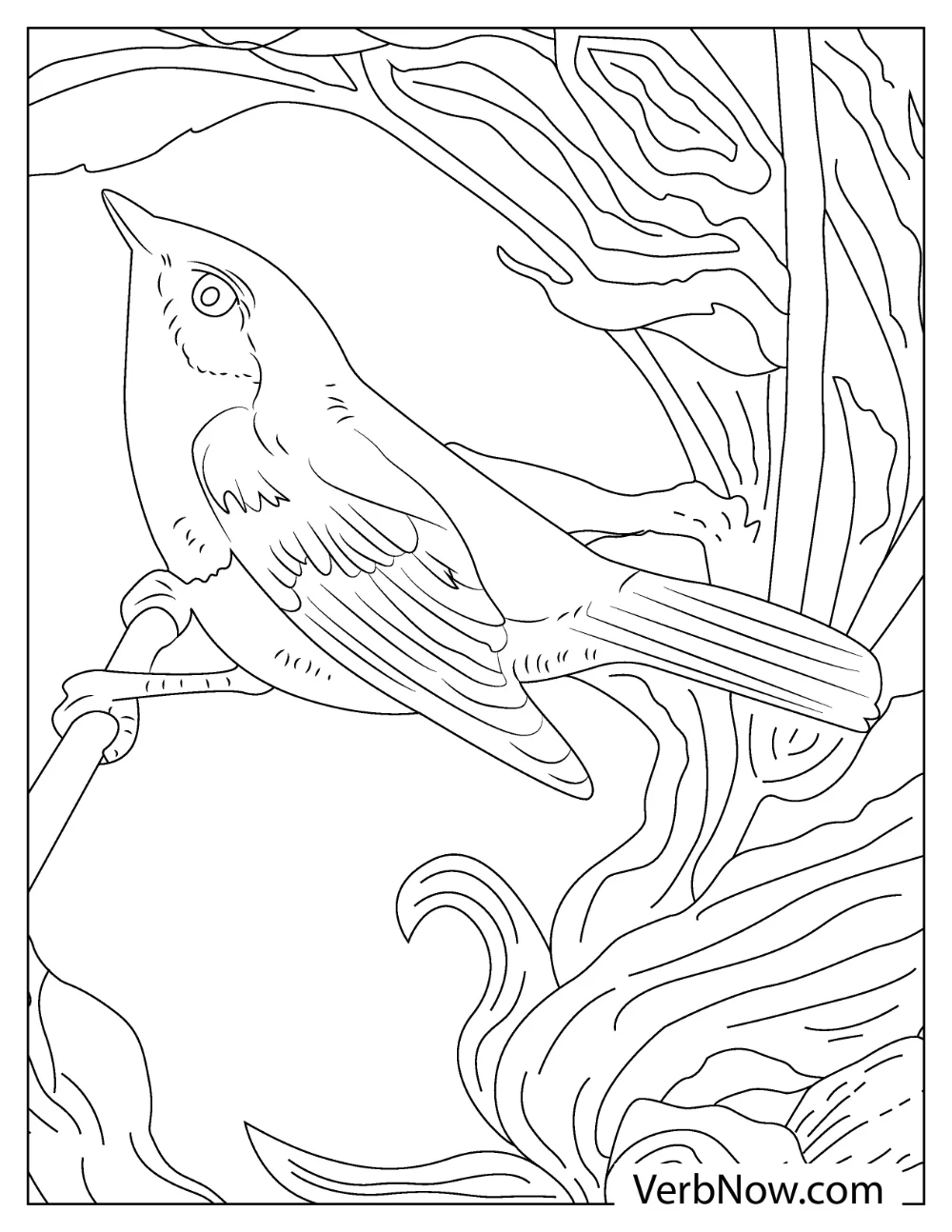 Robin perched on fence coloring printable

