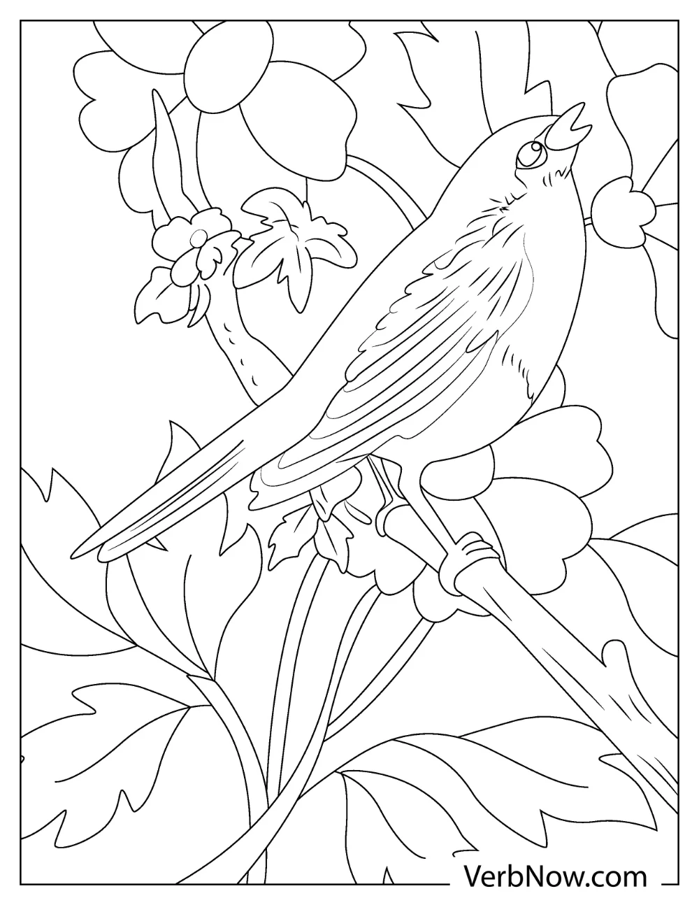 Spring robin coloring page with flowers