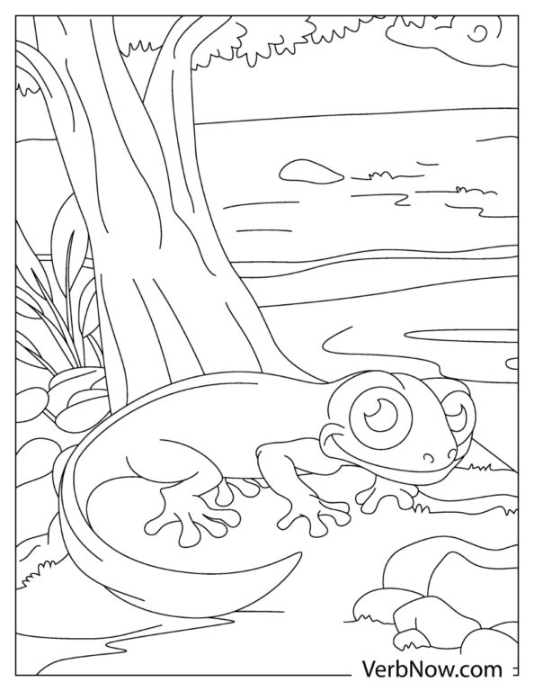 Free SALAMANDER Coloring Pages &amp; Book for Download (Printable PDF ...