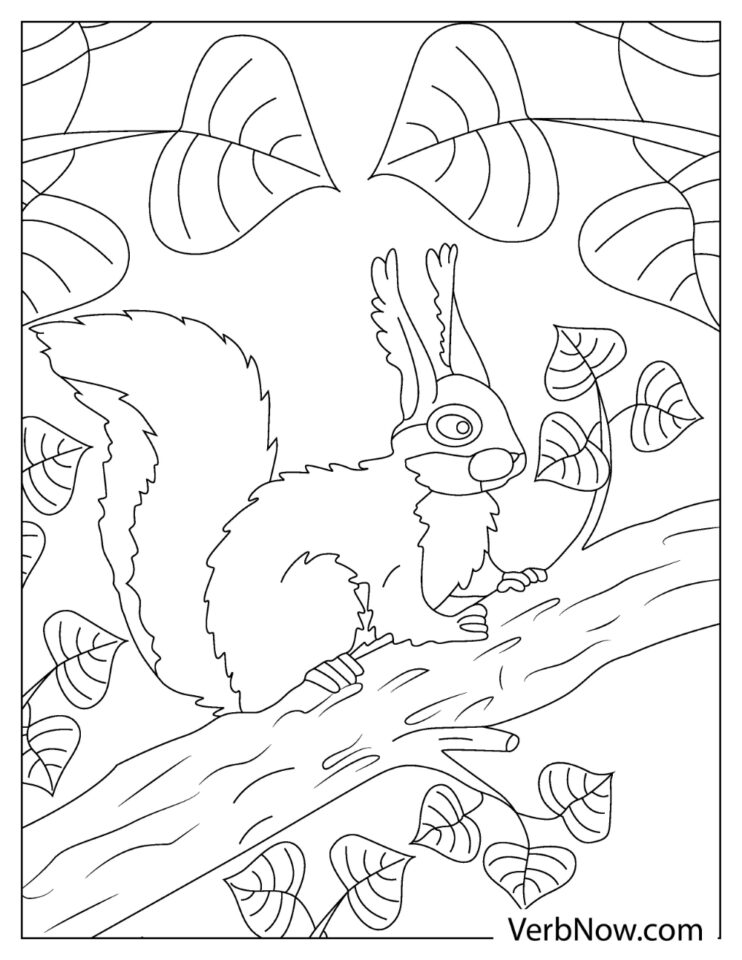 Free SQUIRREL Coloring Pages for Download (Printable PDF)
