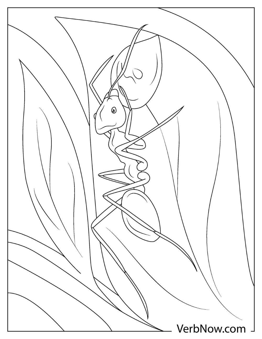 An ant climbing a leaf with long legs coloring page