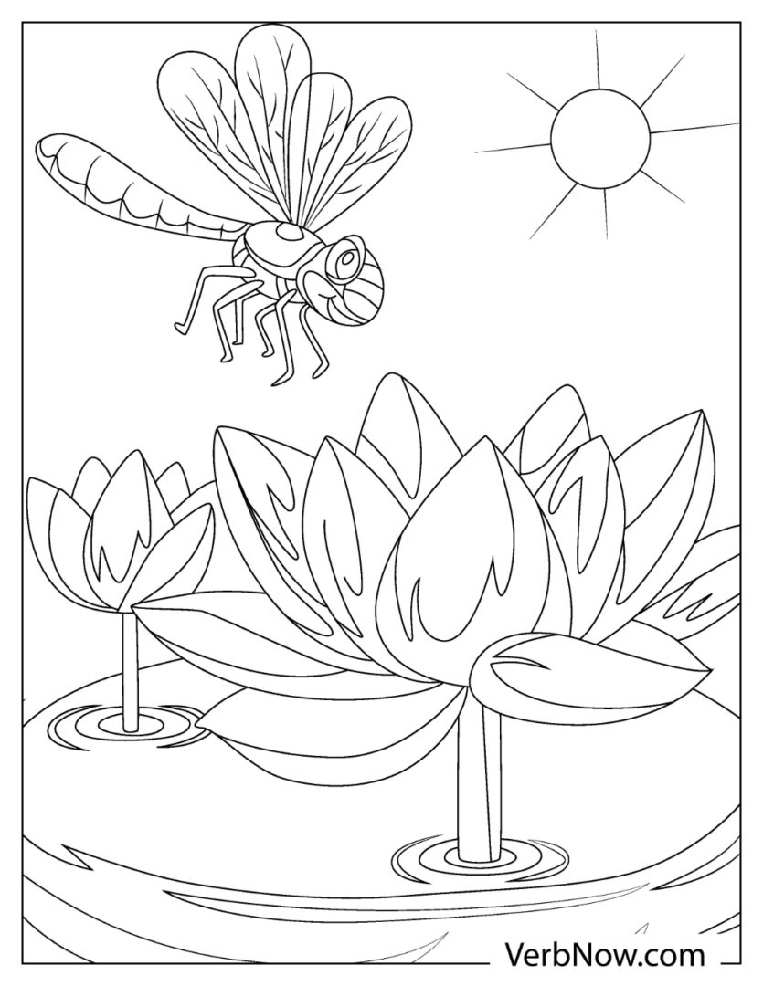 Free DRAGONFLY Coloring Pages for Download (Printable PDF)