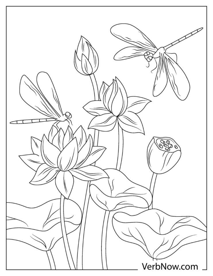 Free DRAGONFLY Coloring Pages for Download (Printable PDF)
