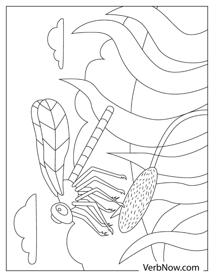 Free DRAGONFLY Coloring Pages for Download (Printable PDF)