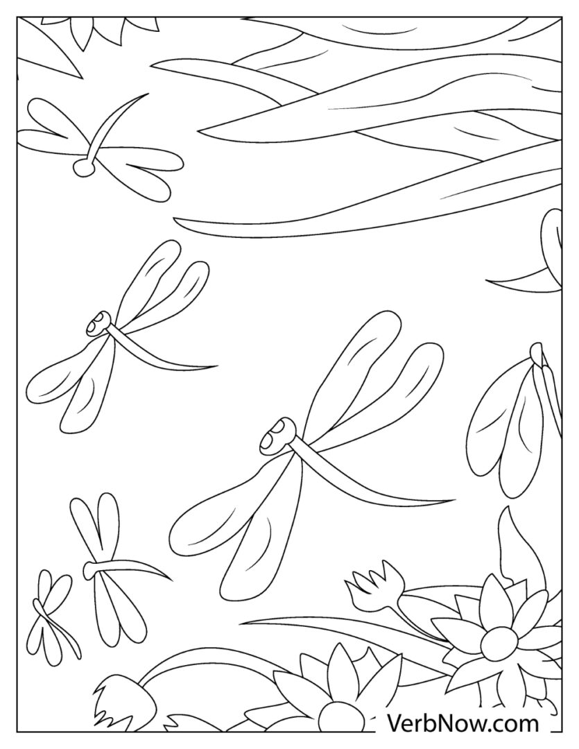 Free DRAGONFLY Coloring Pages for Download (Printable PDF)
