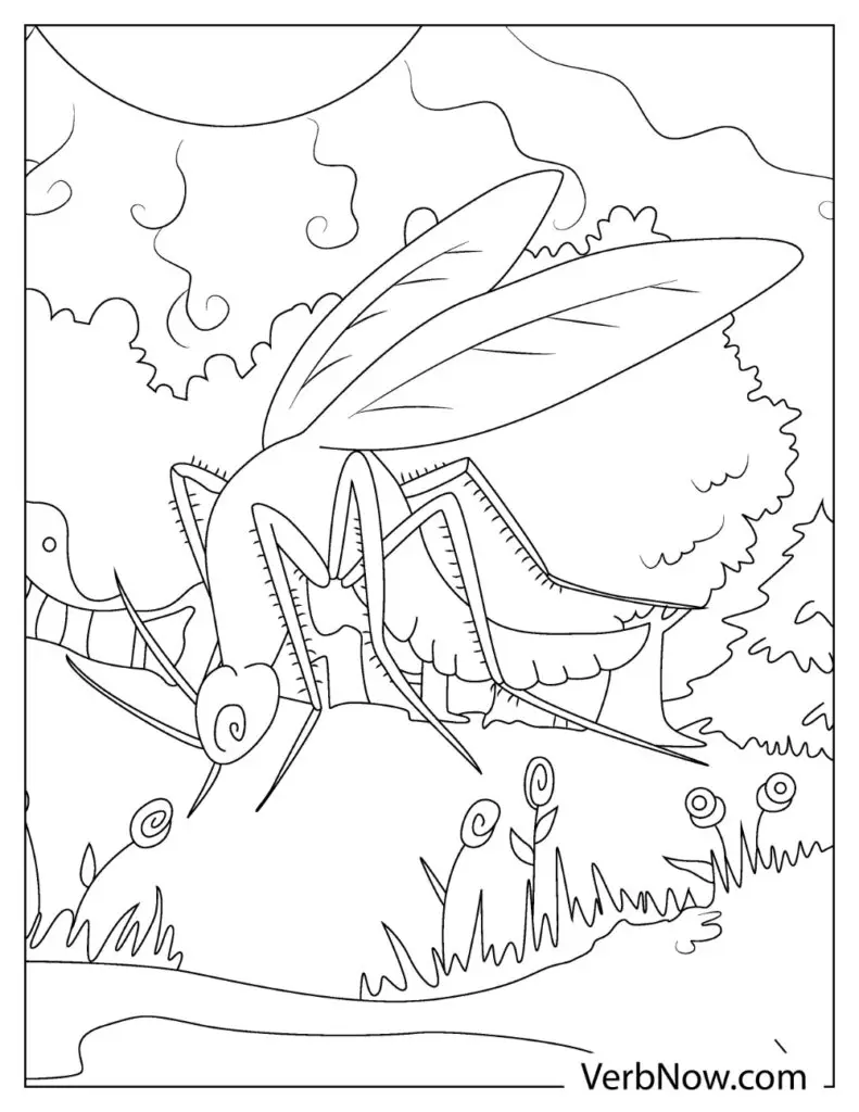 Mosquito Illustrations 22 page 01