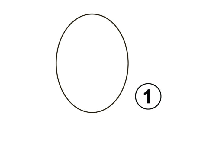 How to Draw an Ox in 10 Easy Steps