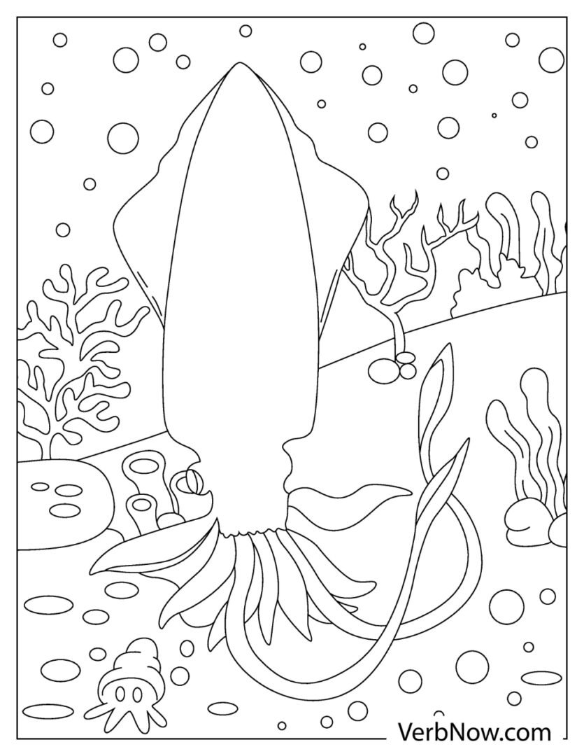Free Coloring Page Squid Fun Creative Squid Illustration Download