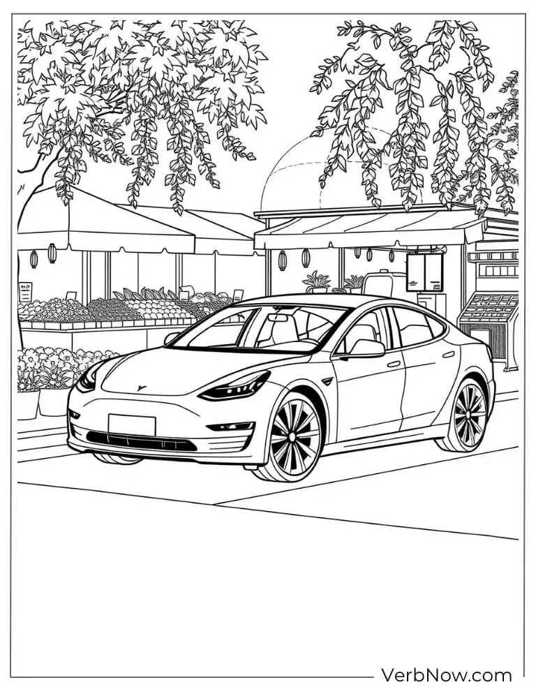 Tesla parked in front of a tropical-style house