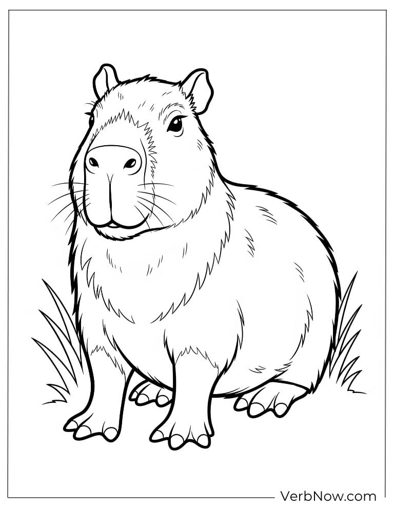 Detailed drawing in a simple capybara coloring page