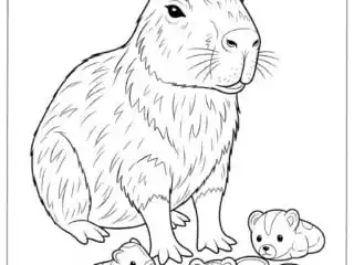 Capybara Coloring Pages 35