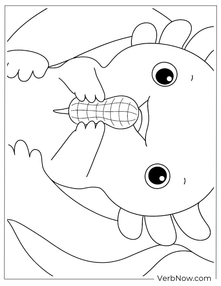 Hungry axolotl eating a cob of corn