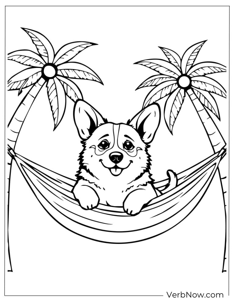 Corgi lounges in a hammock between two palm trees