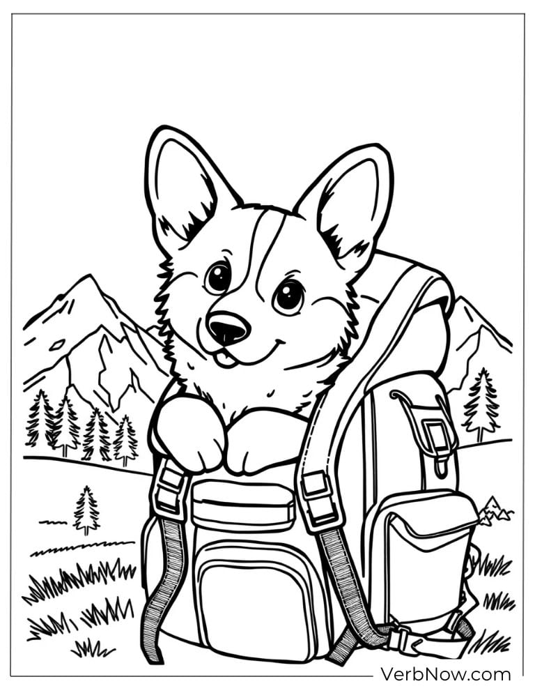 Coloring page of corgi wears a backpack