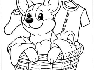 Corgi Coloring Pages featured image