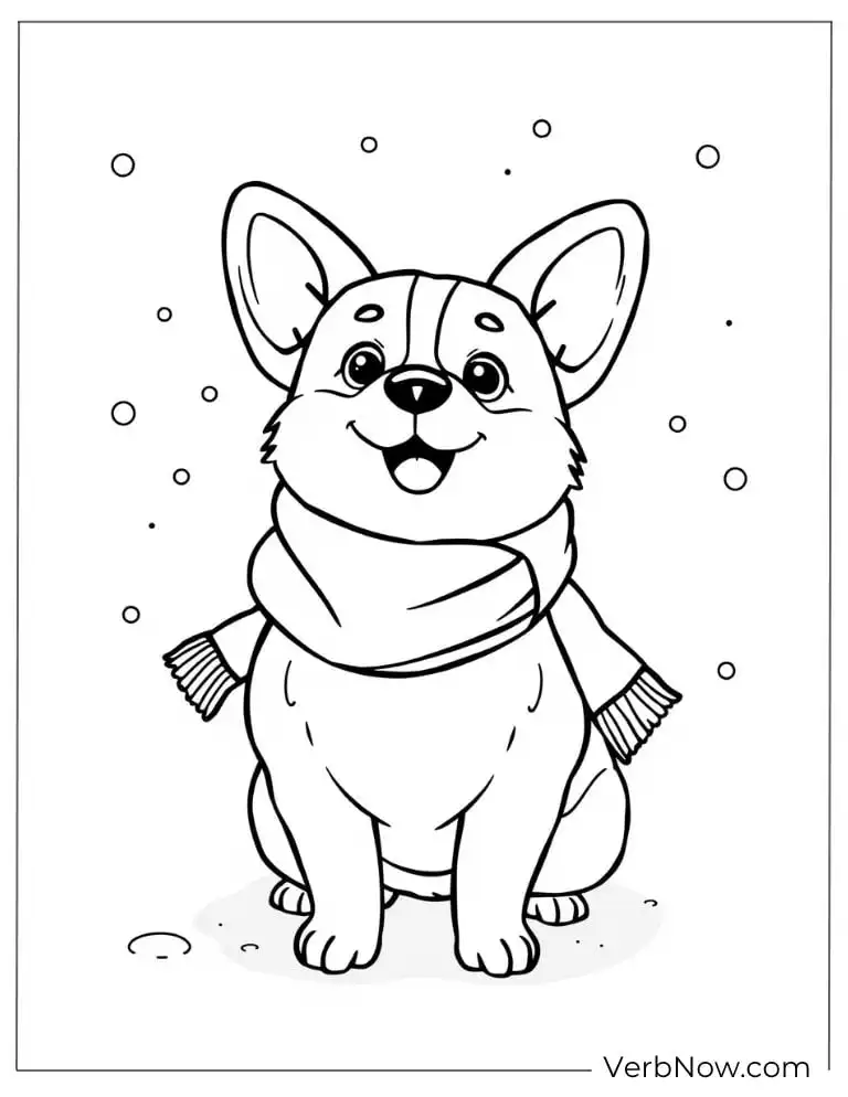 Cozy corgi wears a scarf and enjoys the falling snow