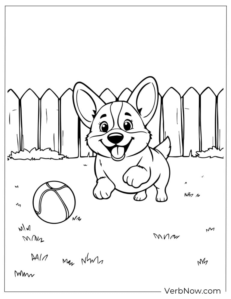 The corgi plays with a ball in the backyard