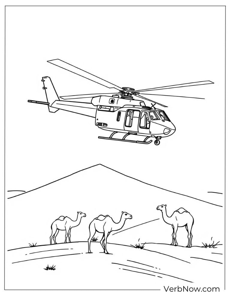 Helicopter flying over desert camels