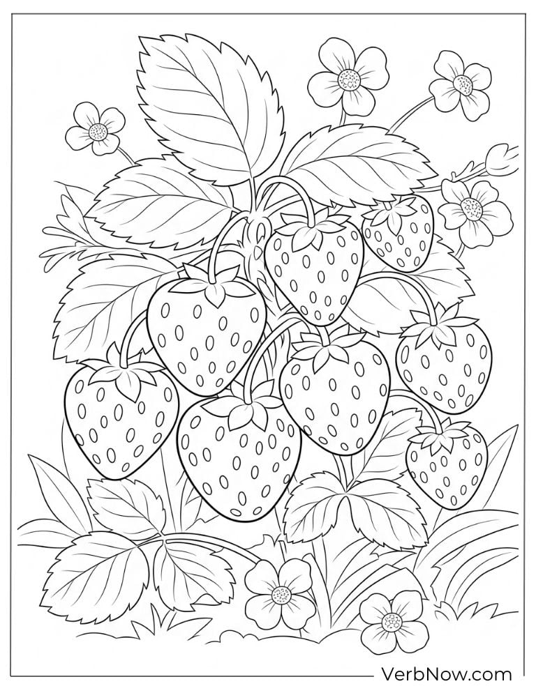 Ripe strawberries growing on a leafy plant