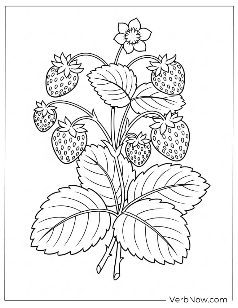 A strawberry plant with berries and blossoms