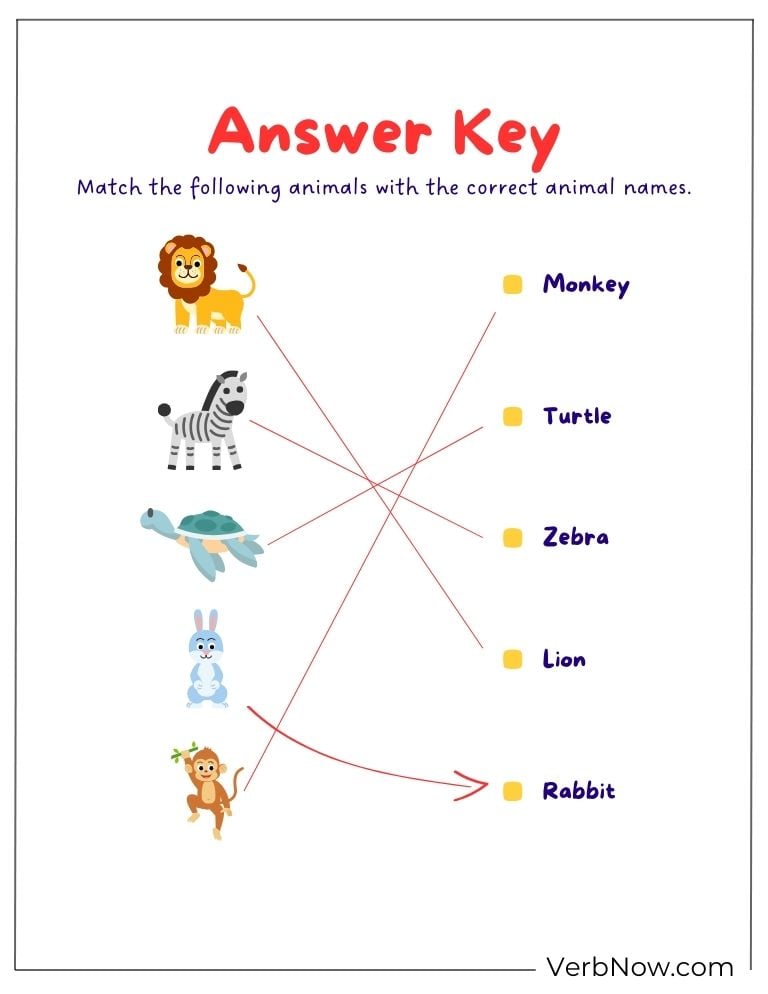 Answer key for an animal matching puzzle