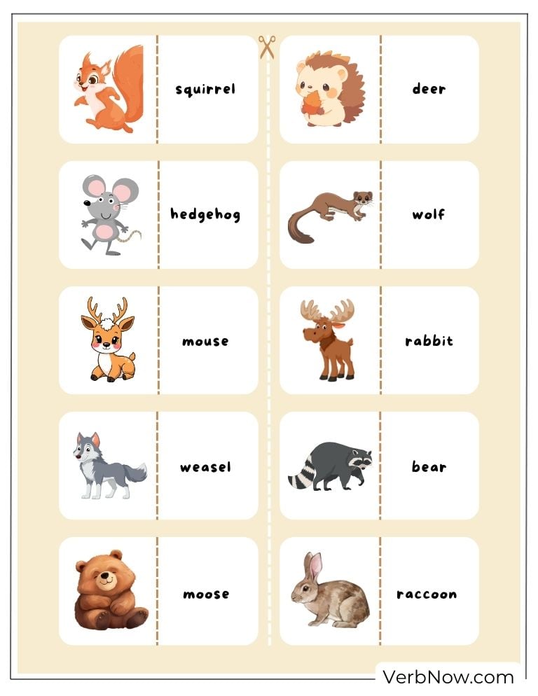 Animal matching cards with pictures and names (squirrel, deer, bear,...)