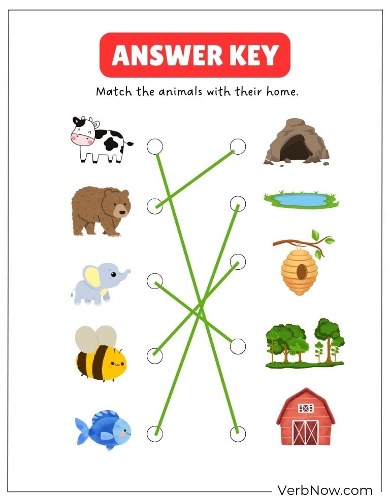 Answer key for matching animals with their homes