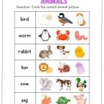 Animal Puzzles - Verbnow 6 featured image