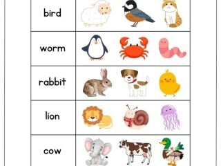 Animal Puzzles - Verbnow 6 featured image