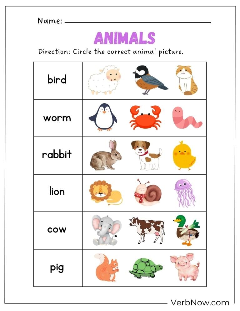 Animal identification worksheet circle the right images