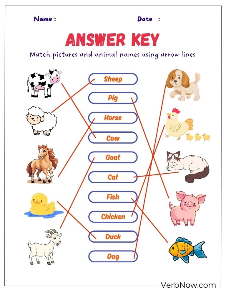 Answer key for matching pet and farm animals with their names