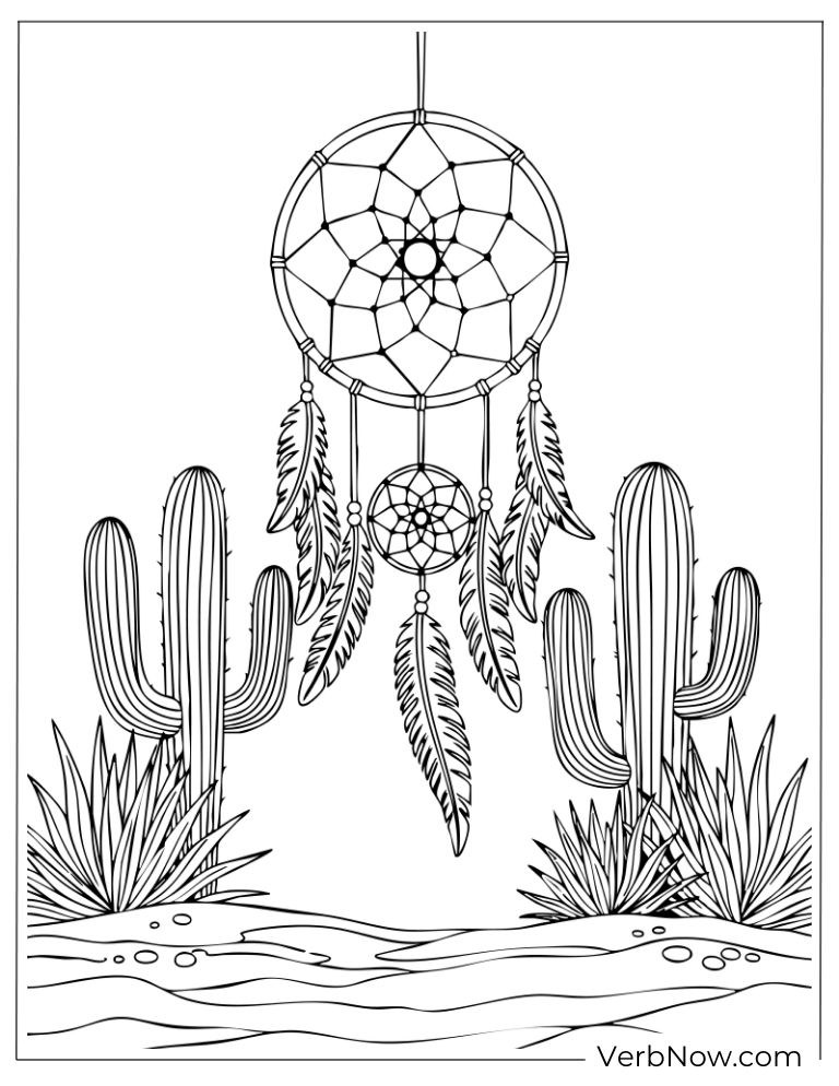 Dreamcatcher hanging in a desert with cactus
